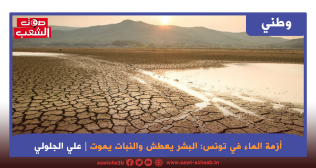 أزمة الماء في تونس: البشر يعطش والنبات يموت