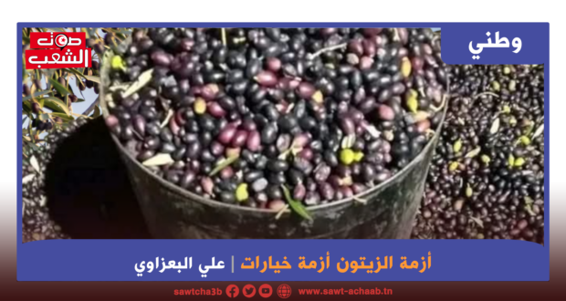 أزمة الزيتون أزمة خيارات