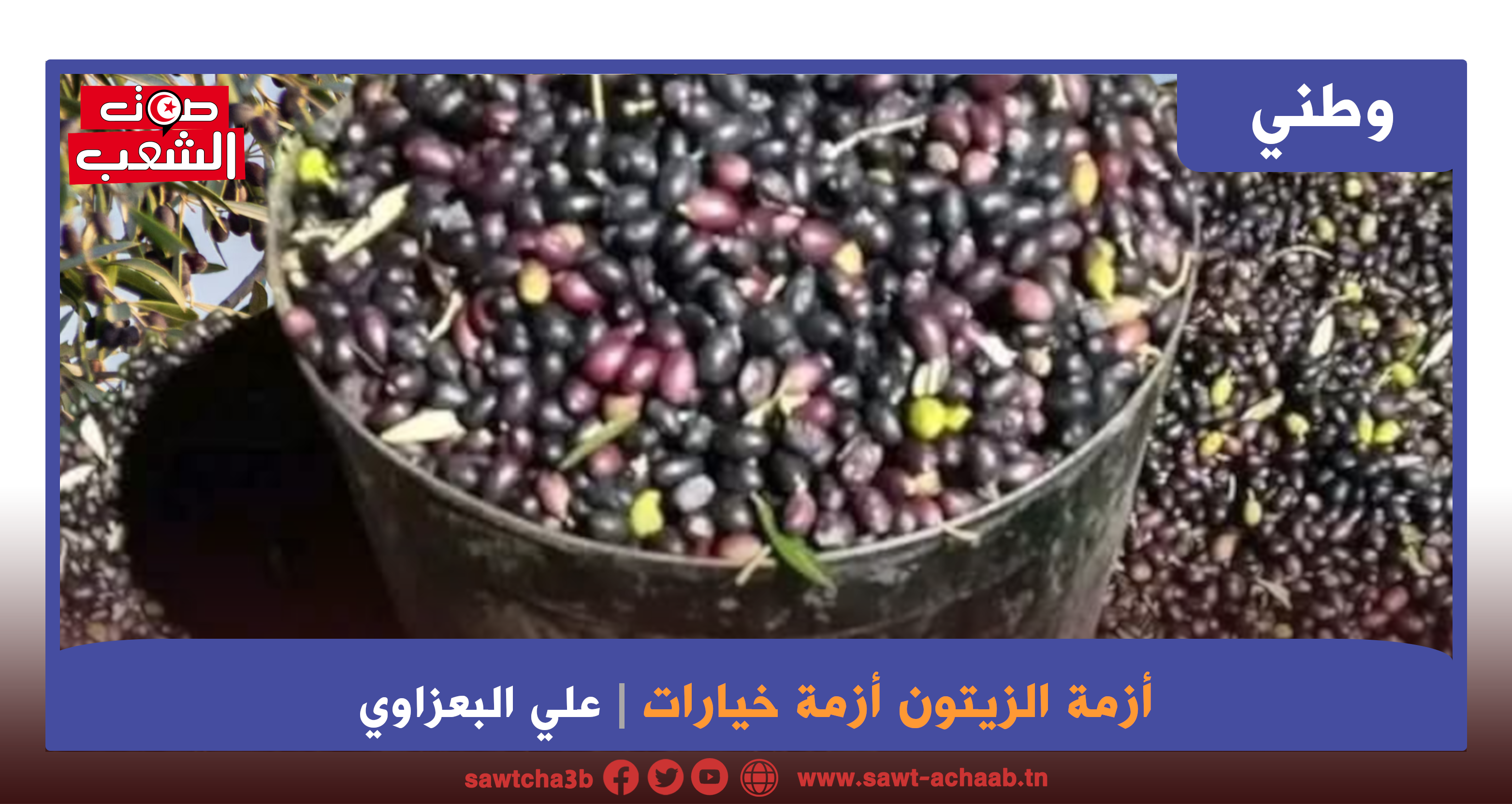 أزمة الزيتون أزمة خيارات